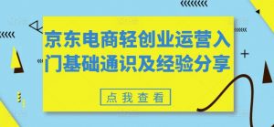 京东电商轻创业运营入门基础通识及经验分享-林文副业站