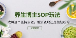 养生博主SOP玩法，按照这个坚持去做，引流变现还是很轻松的-林文副业站