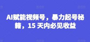 AI赋能视频号，暴力起号秘籍，15 天内必见收益【揭秘】-林文副业站
