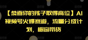 【恭喜你的孩子取得高位】AI视频号火爆赛道，流量分成计划，橱窗带货【揭秘】-林文副业站