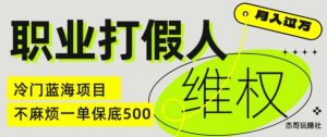 职业打假人电商维权揭秘，一单保底500，全新冷门暴利项目【仅揭秘】-林文副业站