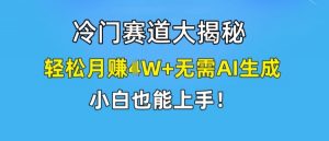 冷门赛道大揭秘，轻松月赚1W+无需AI生成，小白也能上手【揭秘】-林文副业站