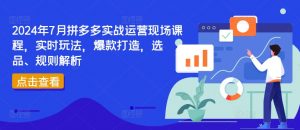 2024年7月拼多多实战运营现场课程，实时玩法，爆款打造，选品、规则解析-林文副业站