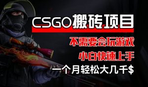 CSGO 装备搬砖项目，操作简单，不需要会玩游戏，小白也能快速上手，一个月轻松大几千【揭秘】-林文副业站