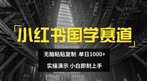 小红书国学赛道，无脑粘贴复制，单日1K，实操演示，小白即刻上手【揭秘】-林文副业站