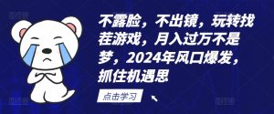 不露脸，不出镜，玩转找茬游戏，月入过万不是梦，2024年风口爆发，抓住机遇【揭秘】-林文副业站