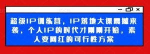 超级IP训练营，IP落地大课震撼来袭，个人IP的时代才刚刚开始，素人变网红的可行性方案-林文副业站