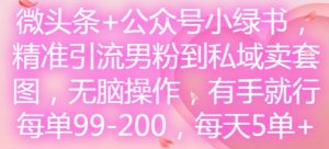 微头条+公众号小绿书，精准引流男粉到私域卖套图，无脑操作，有手就行，每单99-200，每天5单-林文副业站