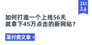 某付费文章《如何打造一个上线56天就拿下45万点击的新网站?》-林文副业站