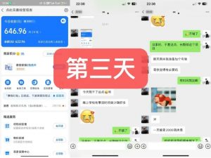 货币掘金项目,3天卖了2720!新项目内测组【限10人】-林文副业站