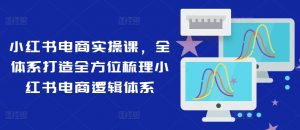 小红书电商实操课，全体系打造全方位梳理小红书电商逻辑体系-林文副业站