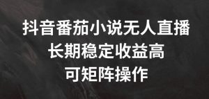 抖音番茄小说无人直播，长期稳定收益高，可矩阵操作【揭秘】-林文副业站