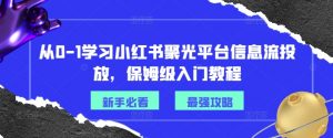 从0-1学习小红书聚光平台信息流投放,保姆级入门教程-林文副业站
