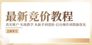 竞价教程：真实账户 实战教学 从新手到进阶·后台操作到数据优化-林文副业站