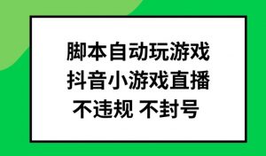 脚本自动玩游戏，抖音小游戏直播，不违规不封号可批量做【揭秘】-林文副业站