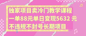 独家项目卖冷门教学课程一单88元单日变现5632元违规不封号长期项目【揭秘】-林文副业站