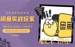 从0到1系统玩转闲鱼变现，教你核心选品思维，提升产品曝光及转化率-林文副业站