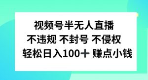 视频号半无人直播，不违规不封号，轻松日入100+【揭秘】-林文副业站