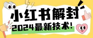 2024最新小红书账号封禁解封方法，无限释放手机号【揭秘】-林文副业站
