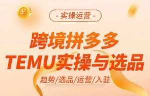 跨境拼多多TEMU实操与选品，多多temu跨境选品运营实操-林文副业站