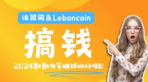 法国闲鱼Leboncoin跨境电商教程：环境邮箱电话解决产品上传及流量，悄悄赚钱【揭秘】-林文副业站