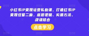小红书IP变现运营私教课,打通红书IP变现任督二脉,底层逻辑、实操方法、战训结合-林文副业站