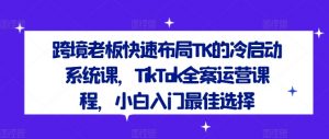 跨境老板快速布局TK的冷启动系统课,TikTok全案运营课程,小白入门最佳选择-林文副业站