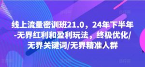 线上流量密训班21.0,24年下半年-无界红利和盈利玩法,终极优化/无界关键词/无界精准人群-林文副业站