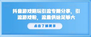 抖音游戏陪玩引流专题分享，引流游戏粉，流量供给足够大-林文副业站