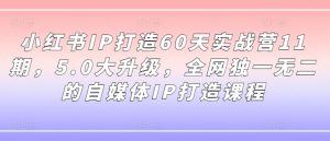 小红书IP打造60天实战营11期，5.0大升级，全网独一无二的自媒体IP打造课程-林文副业站