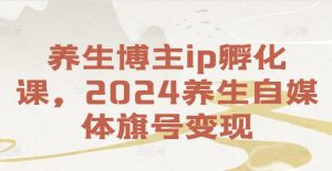 养生博主ip孵化课，2024养生自媒体旗号变现-林文副业站
