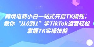 跨境电商小白一站式开启TK搞钱,教你“从0到1”学TikTok运营轻松掌握TK实操技能-林文副业站