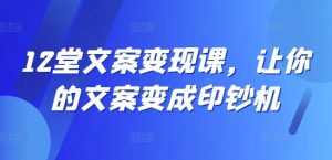 12堂文案变现课,让你的文案变成印钞机-林文副业站