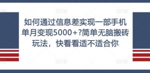 如何通过信息差实现一部手机单月变现5000+?简单无脑搬砖玩法，快看看适不适合你【揭秘】-林文副业站