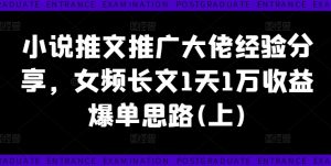 小说推文推广大佬经验分享,女频长文1天1万收益爆单思路(上)-林文副业站