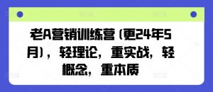 老A营销训练营(更24年8月),轻理论,重实战,轻概念,重本质-林文副业站