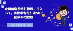 全网首套系统打粉课,日入3k+,手把手各行引流SOP团队实战教程-林文副业站