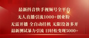 最新抖音快手视频号全平台无人直播引流1000+精准创业粉,日轻松变现5k+【揭秘】-林文副业站