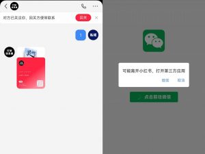 全网首发，小红书直跳微信卡片制作教程，无限制作可转卖，外面一张卖99【揭秘】-林文副业站