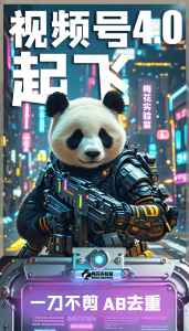 梅花实验窒微信视频号连怼玩法技巧起飞4.0一键AB破解版【揭秘】-林文副业站