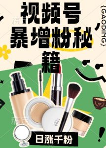 视频号涨粉方法，暴力起号，一天涨粉1000+，当天开橱窗【揭秘】-林文副业站