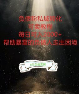 负债粉掘金计划,帮助负债者解决问题,债务规划,债务重组,最好的变现方式【揭秘】-林文副业站