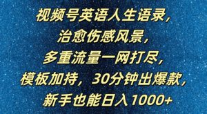 视频号英语人生语录，多重流量一网打尽，模板加持，30分钟出爆款，新手也能日入1000+【揭秘】-林文副业站