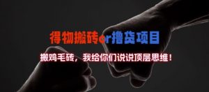 得物搬砖撸货项目?掰下数据,我给你们说说顶层思维【揭秘】-林文副业站