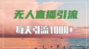抖音快手视频号全平台通用,无人直播引流法,超暴力引流1000+高质量精准创业粉【揭秘】-林文副业站