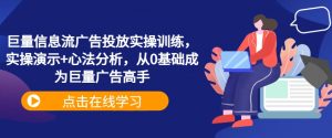巨量信息流广告投放实操训练，实操演示+心法分析，从0基础成为巨量广告高手-林文副业站
