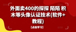 外面卖400的探探 陌陌 积木等头像认证技术(软件+教程)-林文副业站