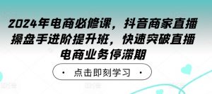 2024年电商必修课，抖音商家直播操盘手进阶提升班，快速突破直播电商业务停滞期-林文副业站