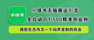 小绿书无脑搬运引流，全自动日引500精准创业粉，微信生态内又一个闷声发财的机会【揭秘】-林文副业站