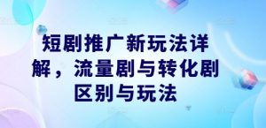 短剧推广新玩法详解，流量剧与转化剧区别与玩法-林文副业站